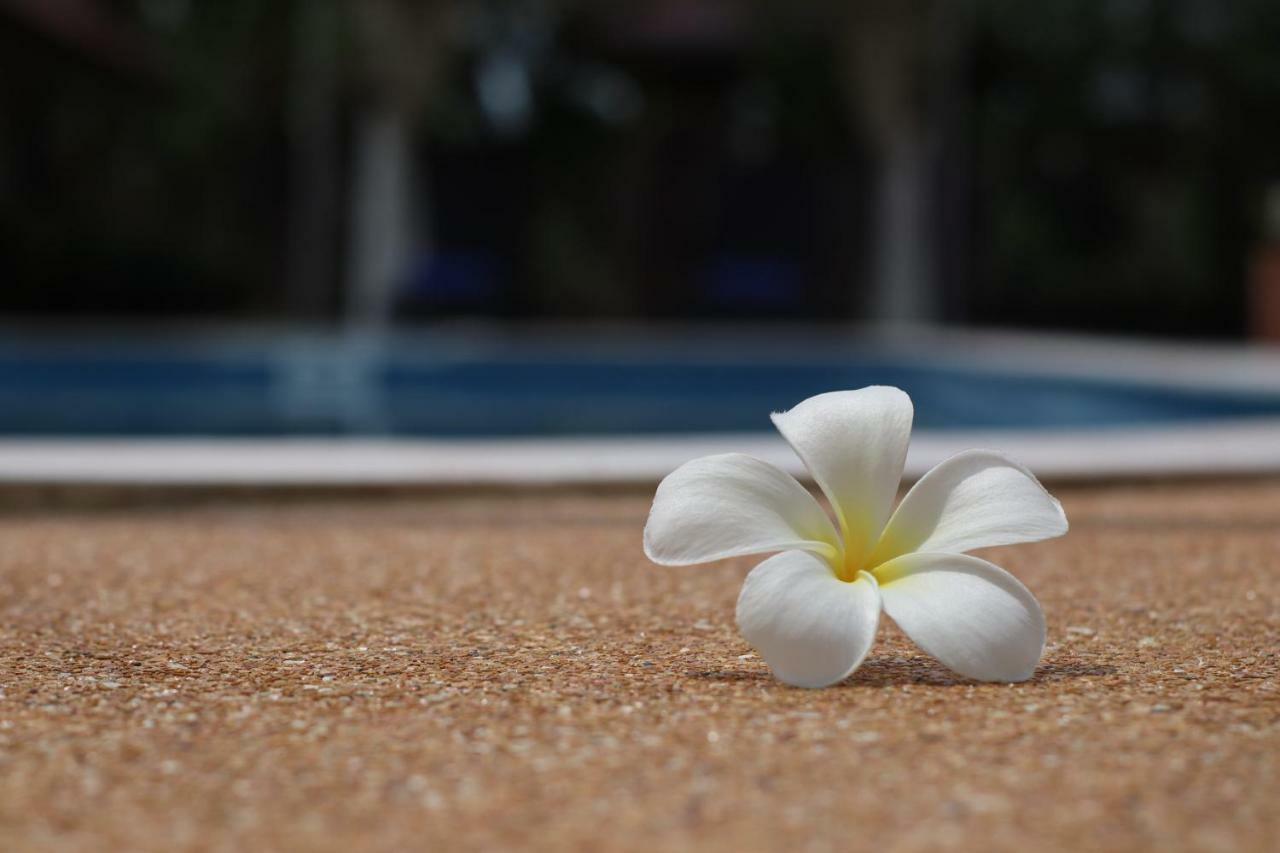 The Hillside Pranburi Resort Pran Buri Exterior foto